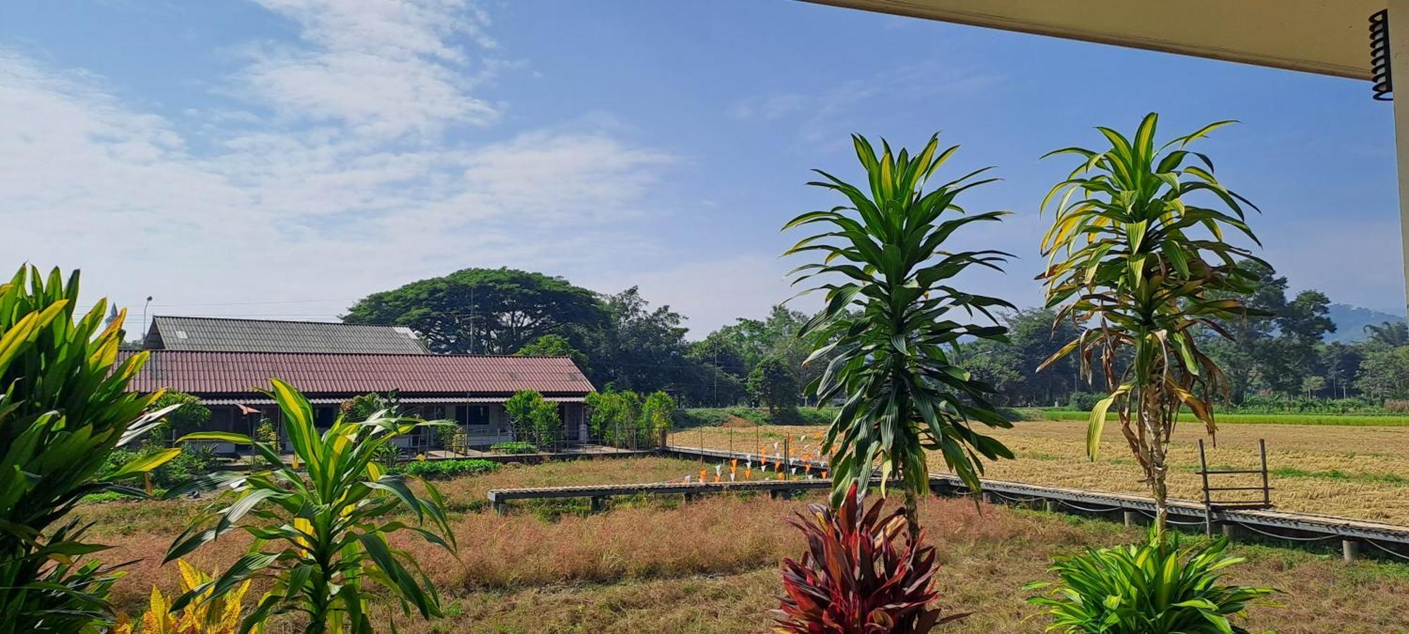 Ban Lom Jen Homestay Chiang Rai Luaran gambar