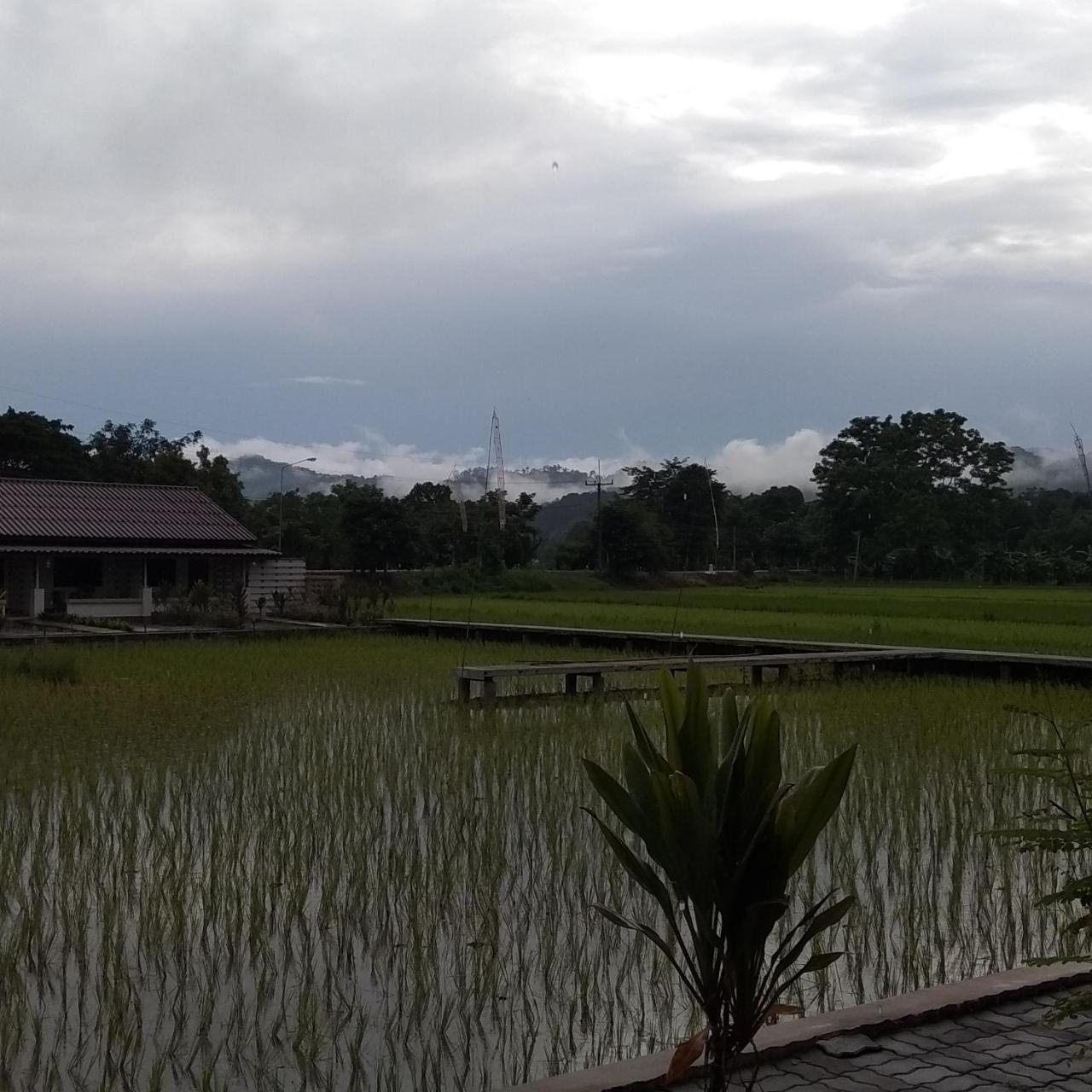 Ban Lom Jen Homestay Chiang Rai Luaran gambar